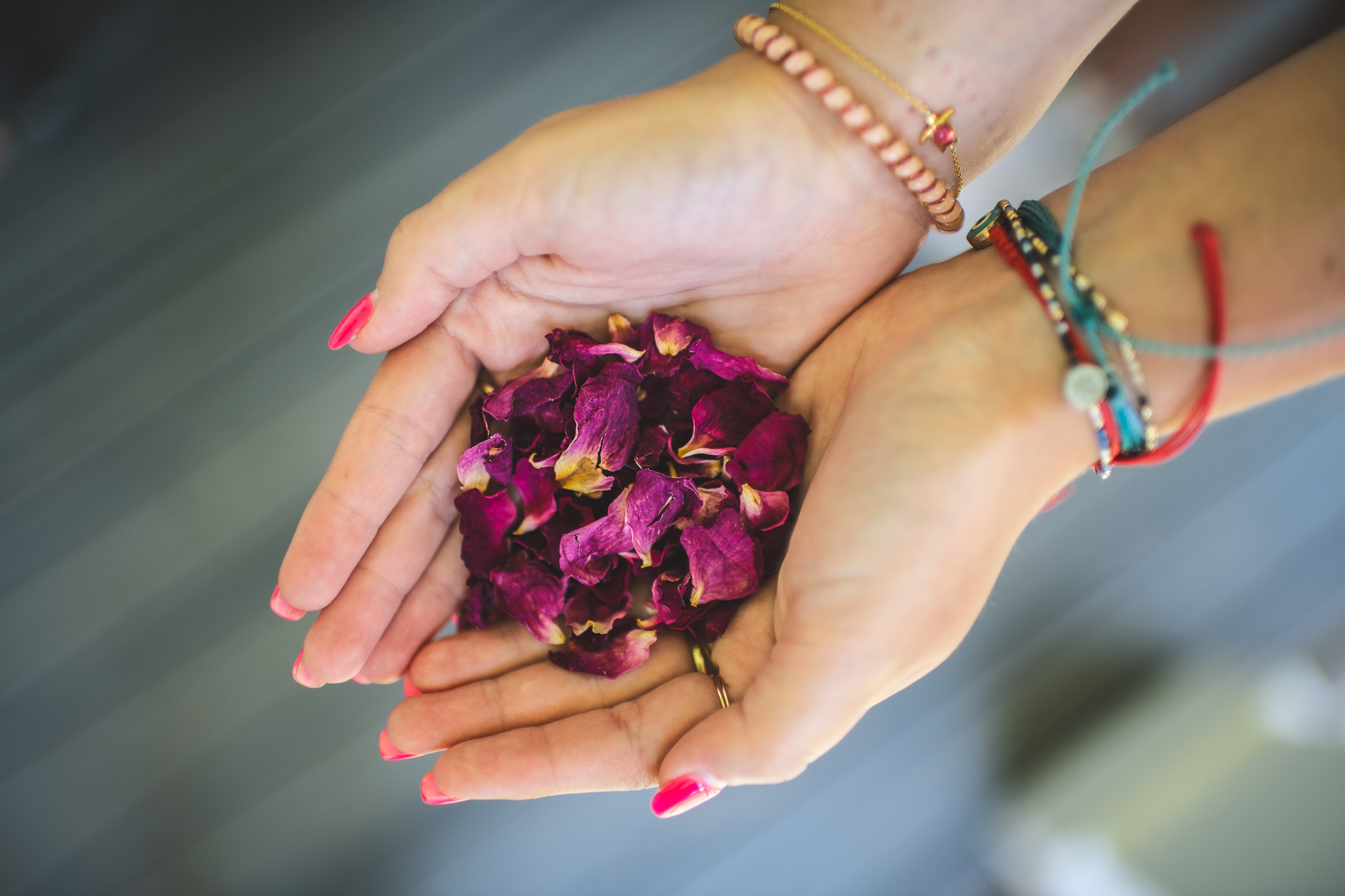 Hands holding dried rose petals